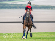 AK021025-23 - Believitanducan